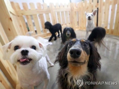 [이미지출처=연합뉴스]