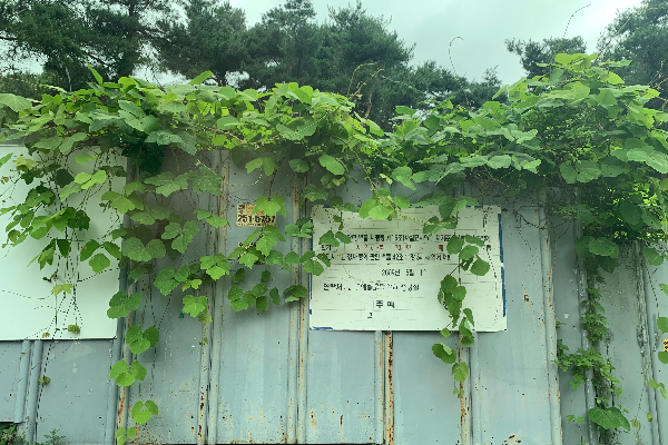 모악여성한방클리닉특구 사업부지