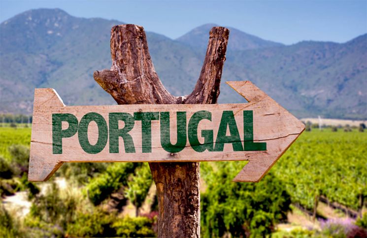 [드링킷] 달콤하지만 도수 높은 '포트 와인'에 대해