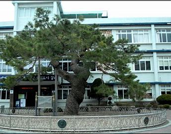  장수군, 코로나19 극복 희망 일자리사업 참여자 ‘모집’