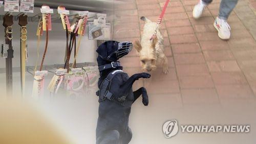 반려견 관련 사고(CG). 해당 기사와 관계 없음 [이미지출처=연합뉴스]