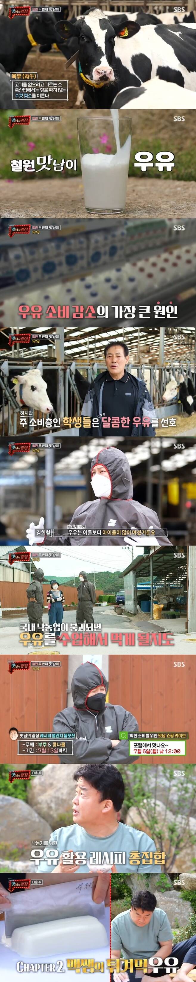 2일 방송된 SBS 예능 프로그램 '맛남의 광장'에서는 젖소 농가에 방문한 백종원이 출연해 국내 낙농업이 붕괴할 수 있다고 우려했다. 사진=SBS '맛남의 광장'방송 캡처
