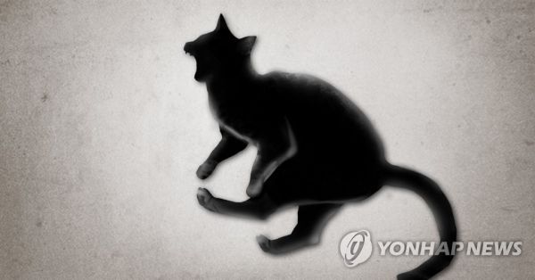 끊이지 않는 동물학대…잔혹 범죄로 이어질까
