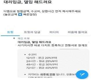 SNS상 대리입금 광고 예시 / 자료:금융감독원