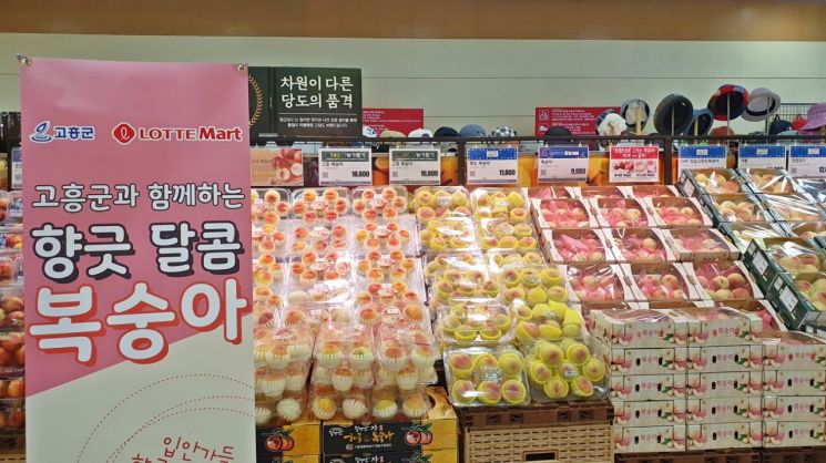 향긋·달콤 고흥 복숭아 롯데마트·슈퍼 판매…불티나네