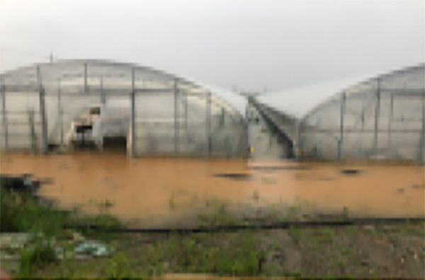 전북지역 집중호우로 2409.6㏊ 농작물 피해 발생