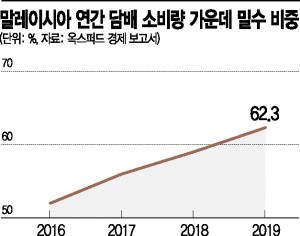 말레이시아 담배 10갑 중 6갑 밀수…재정손실 1.4兆