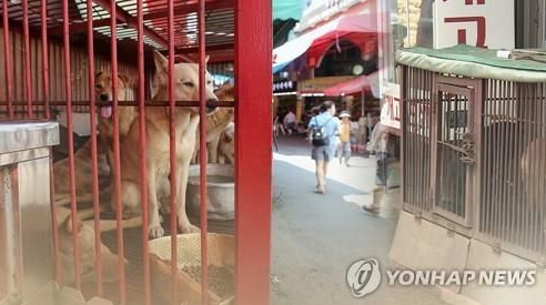 "먹지 마라" vs "문제없어" 개 식용 논란, 어떻게 생각하십니까