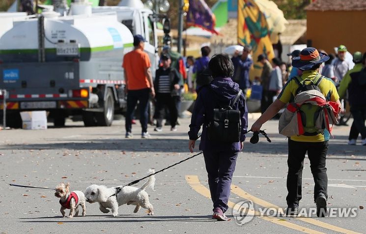 서울 마포구 월드컵공원에서 시민들이 반려견에 목줄을 채운 채 산책하고 있다. 사진=연합뉴스