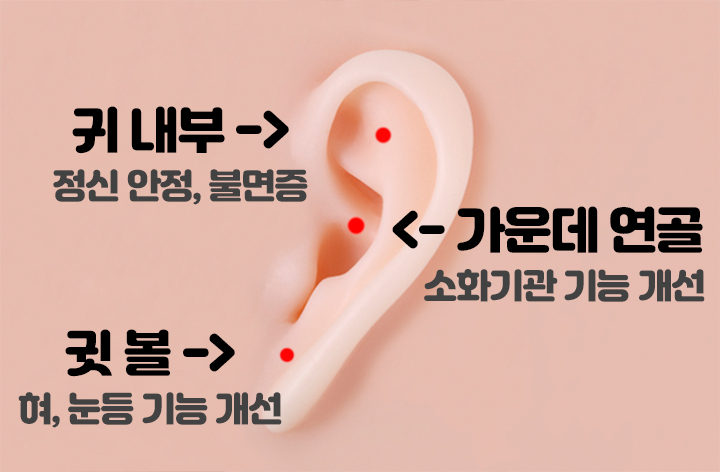 [드링킷] 음주 후 통증 완화에 좋은 지압법 5