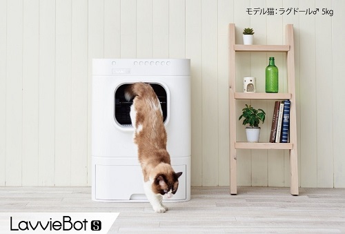 골골송작곡가, 노터스와의 협업으로 라비봇2 일본 수출 계약 체결