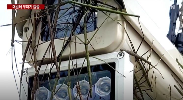 YTN뉴스 캡처