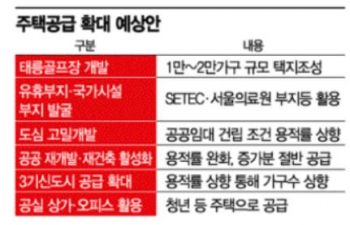 "소규모 개발 공급 한계, 시장 오히려 더 불안"