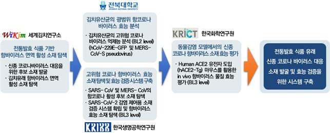 김치와 코로나19