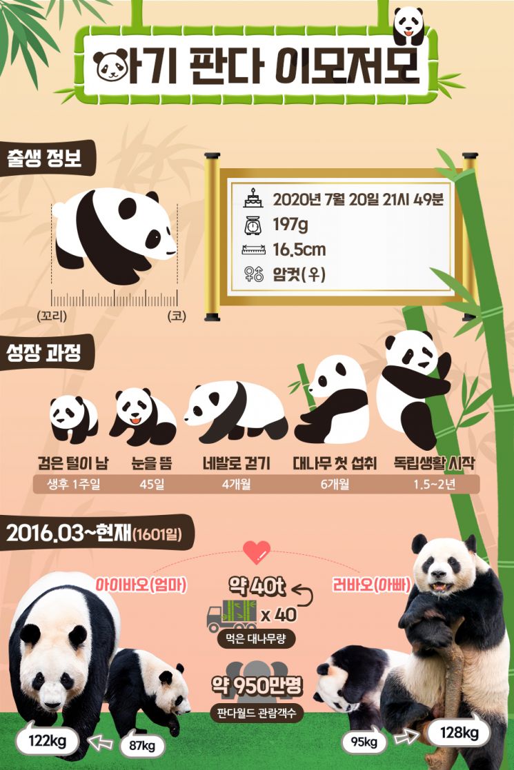 (그래픽 : 에버랜드)