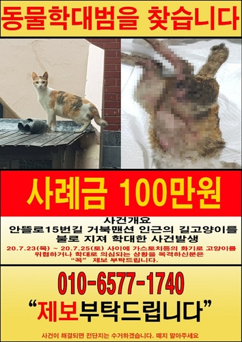 가스불로 지진 듯 … 화상입은 ‘엄마냥이’ 뱃속 새끼와 숨져