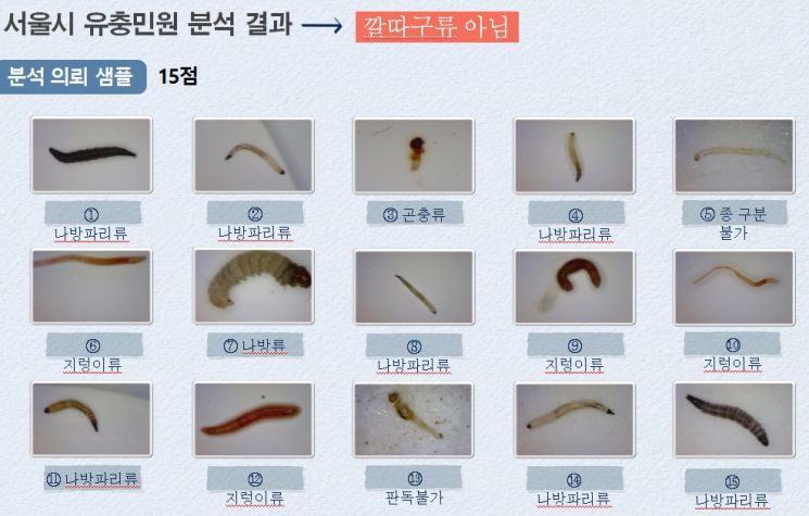 서울 수돗물 속 유충은 외부서 유입 … "정수과정 이상 無"