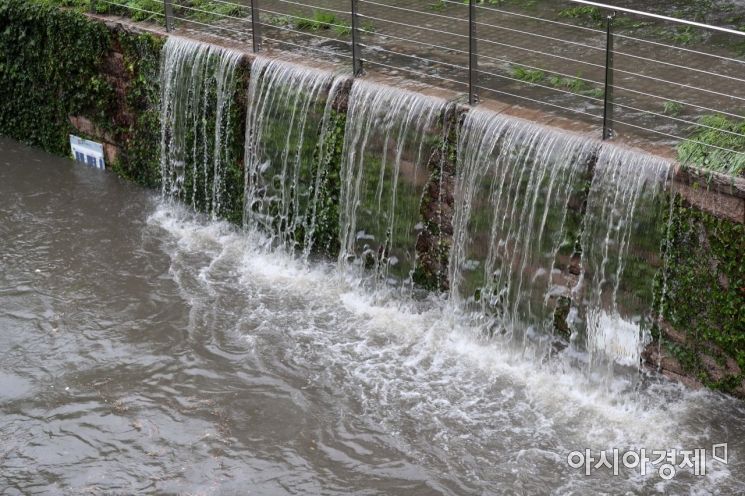 [포토]수위 높아지는 청계천 