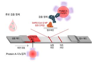 코로나19 '15분 진단키트' 나온다 