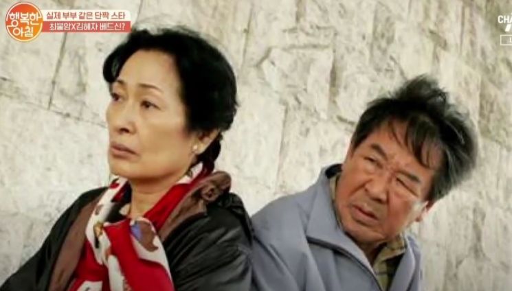 김혜자, 최불암과 부부…'그녀의 남편'과 '작가'가 도망간 이유?