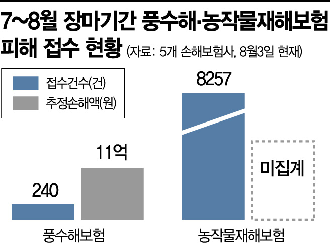 전국 기록적 폭우에 '풍수해보험' 등 피해 접수 잇따라