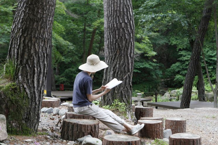 A Healing Forest Journey for Body and Mind