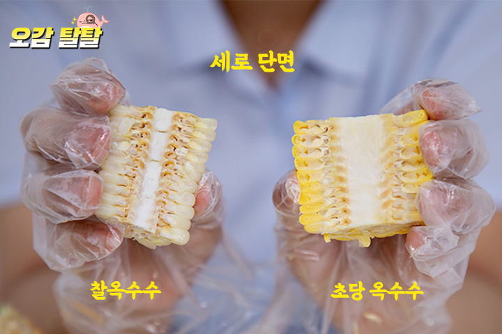 [드링킷] 지나친 당도, 초당옥수수 리뷰