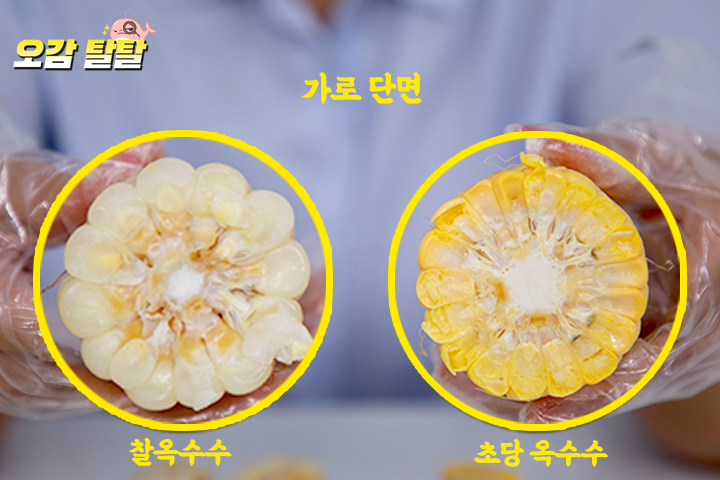 [드링킷] 지나친 당도, 초당옥수수 리뷰