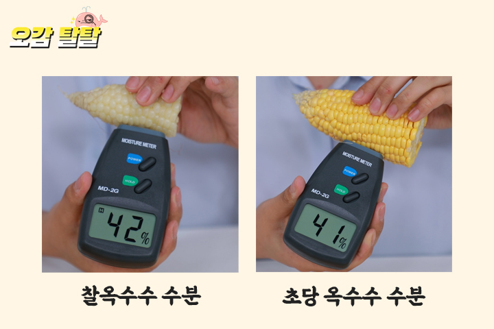 [드링킷] 지나친 당도, 초당옥수수 리뷰