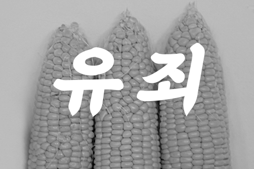 [드링킷] 지나친 당도, 초당옥수수 리뷰
