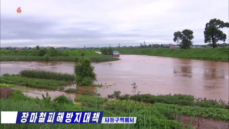 북한 수도 평양시 사동구역의 농경지가 집중호우로 물에 잠긴 모습을 6일 조선중앙TV가 보도했다. 조광철 구역협동농장경영위원회 과장은 "보다시피 낮은 지대에 있는 작물들이 피해를 받고 있다"고 말했다. <사진=조선중앙TV 화면·연합뉴스>