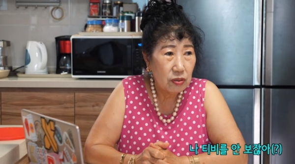 박막례 할머니, 유튜브 '과대 광고' 논란…SNS 비공개 전환