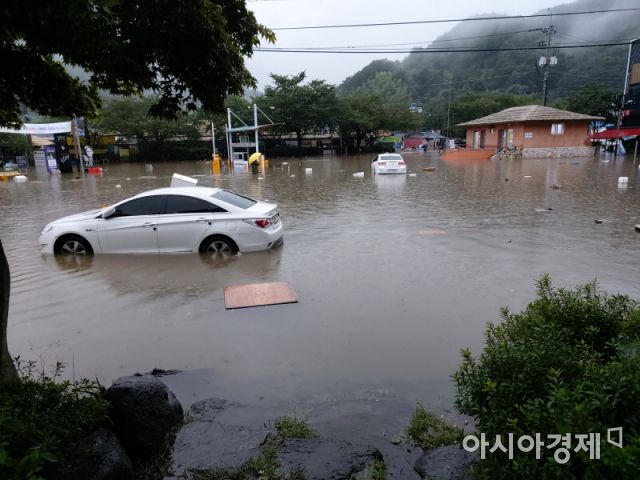 [속보]300㎜ 넘는 폭우에 화개장터 침수 … 경남 비 피해 잇따라