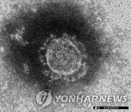 日 국책연구소 "올해 6월 도쿄 중심으로 새 유전자 배열 코로나 바이러스 확산"