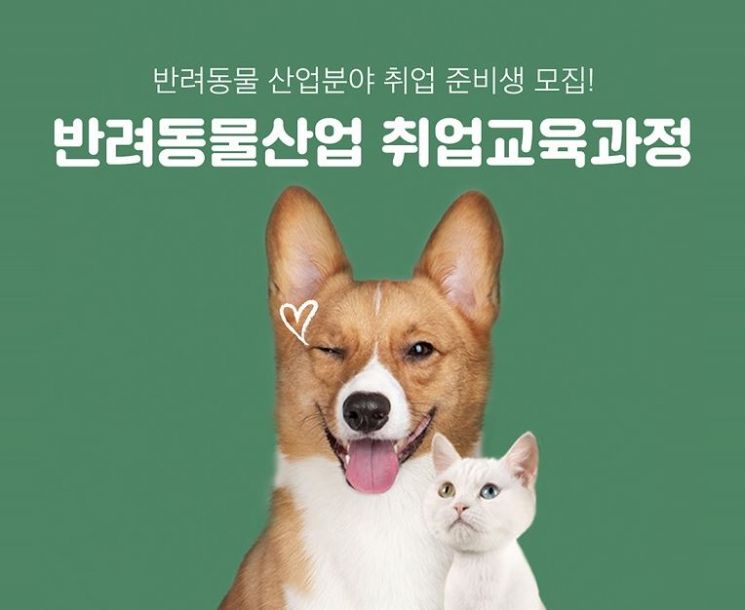 한국반려동물교육원 모집 포스터 안.