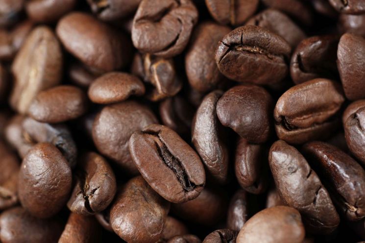 공급 우려 속에 커피·카카오·면화 가격 급등세  