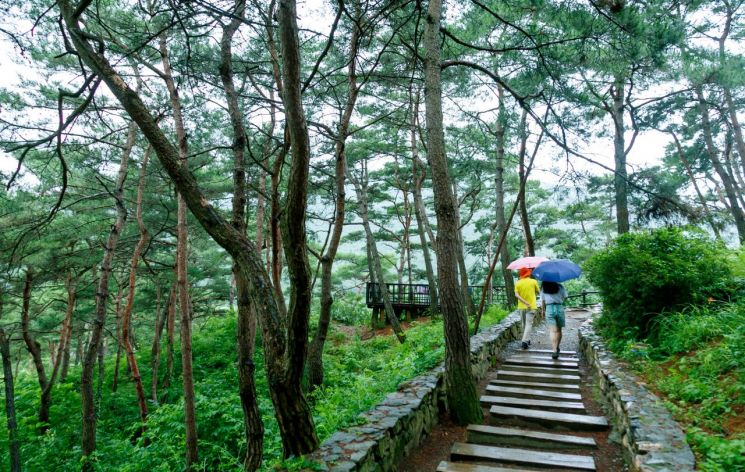 산막이옛길