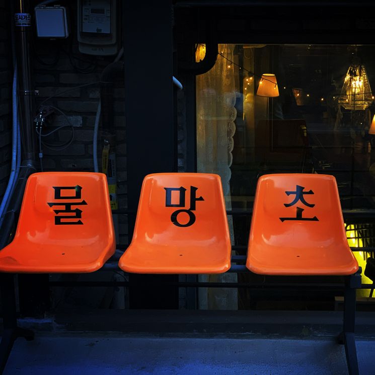 사진 = 네이버플레이스 동선물망초