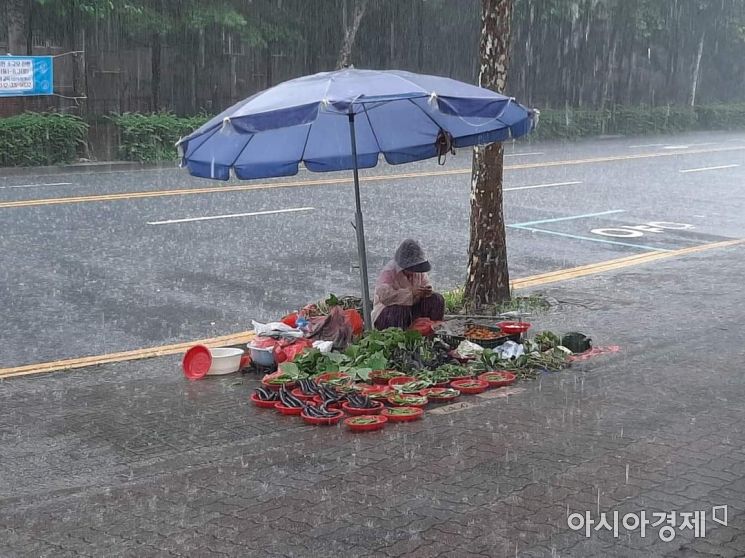 폭우가 쏟아져도 누가 올까 싶어 접지 못한 체 앉아 있는 채소 장사 할머니. (사진=독자 제공)