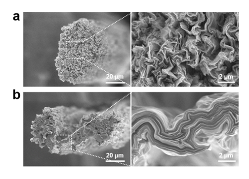 그림 a는 자발적 평탄화가 일어나지 않아 주름진 원형 단면을 가지는 그래핀 섬유이며, 그림 b는 자발적 평탄화로 인해 납작한 그래핀 섬유의 모습이다.