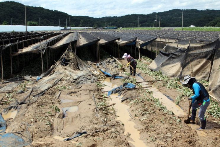 환경부-국토부-산업부로 쪼개진 물관리, 홍수 피해 불렀다
