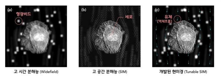 광학현미경의 진화.. '세포의 칼슘 소통' 동시포착 가능