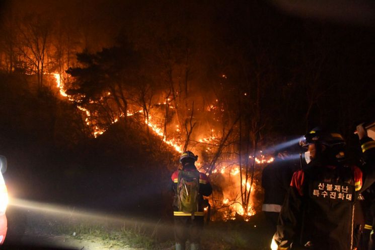 올해 안동 풍천면 인금리 일원 산불발생 당시 현장에서 산불재난특수진화대원이 산불을 진화하고 있다. 산림청 제공