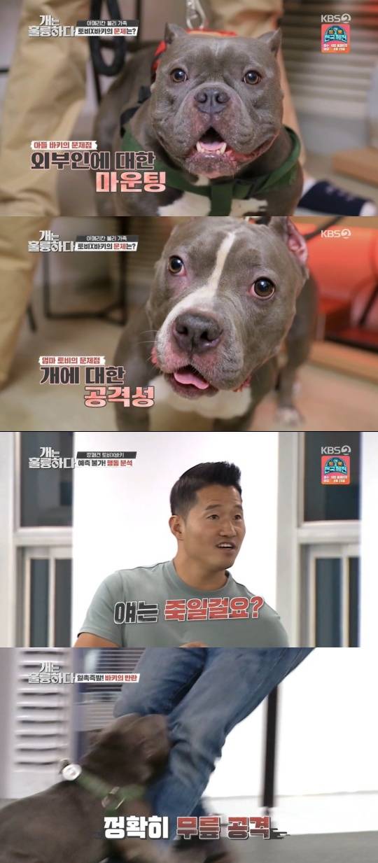Kang Hyung-wook Bitten by Highly Aggressive Dog... "Could Kill If Meeting a Small Dog"