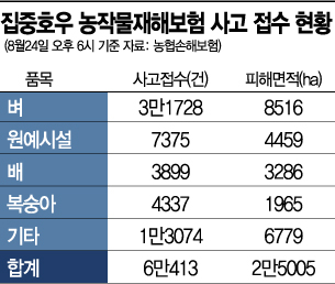 장마 끝나자, 역대급 태풍 온다…손해보험사 손실만 '억소리'(종합)