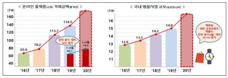 명품 온라인 플랫폼 등 국부유출 역외탈세 혐의자 43명 세무조사