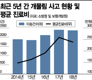 '개통령'도 물렸다…개물림 사고 최근 5년 간 1만건 넘어(종합)