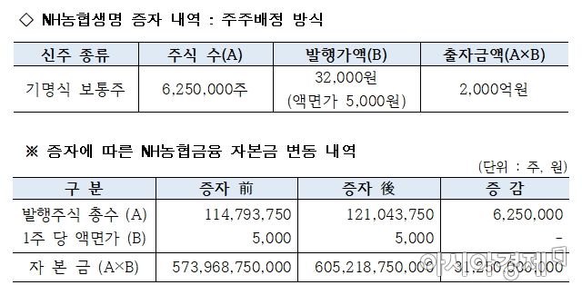 농협생명, 2000억 유상증자 실시…RBC 200% 넘어설 듯
