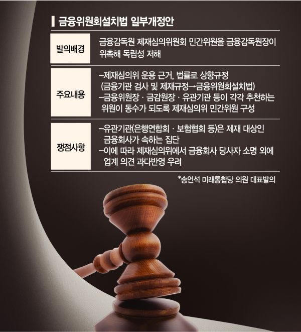 '금융사 압박법' 봇물 속 '제재심 견제법' 빛 볼까?(종합)