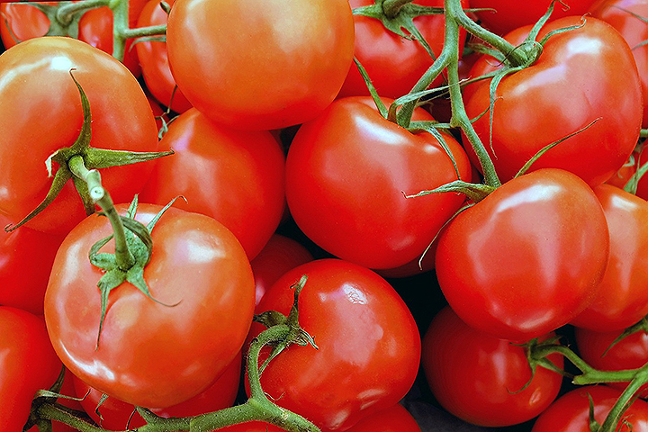 [드링킷] 건강을 향한 지름길, 토마토 섭취
